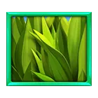 Safari-Mystery-Mystery Symbol