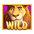 Safari Mystery Jili Wild Symbol